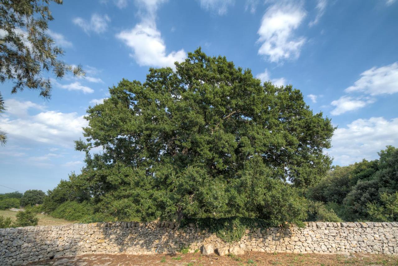 Trulli Capo Di Lupo By Rentbeat Villa Cisternino Kültér fotó